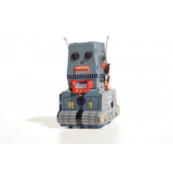 R1 Robot
