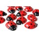 Clicking Ladybird box of 18