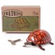 Tin toy walking tortoise