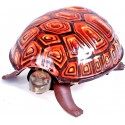 Walking tortoise